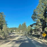 Review photo of Forest Service Road 302 Dispersed by Abby M., November 12, 2021