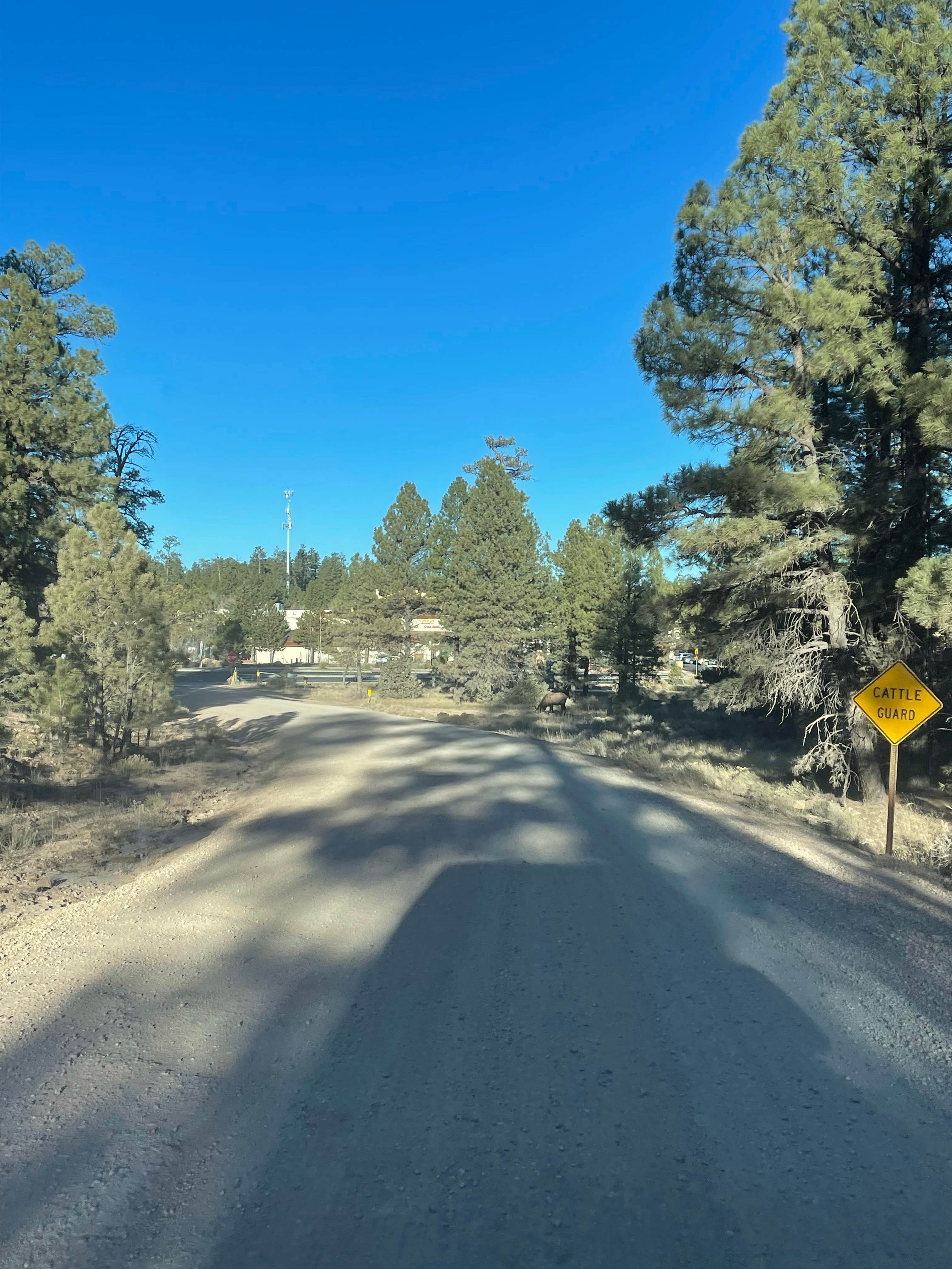 Camper submitted image from Forest Service Road 302 Dispersed - 3