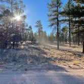 Review photo of Forest Service Road 302 Dispersed by Abby M., November 12, 2021