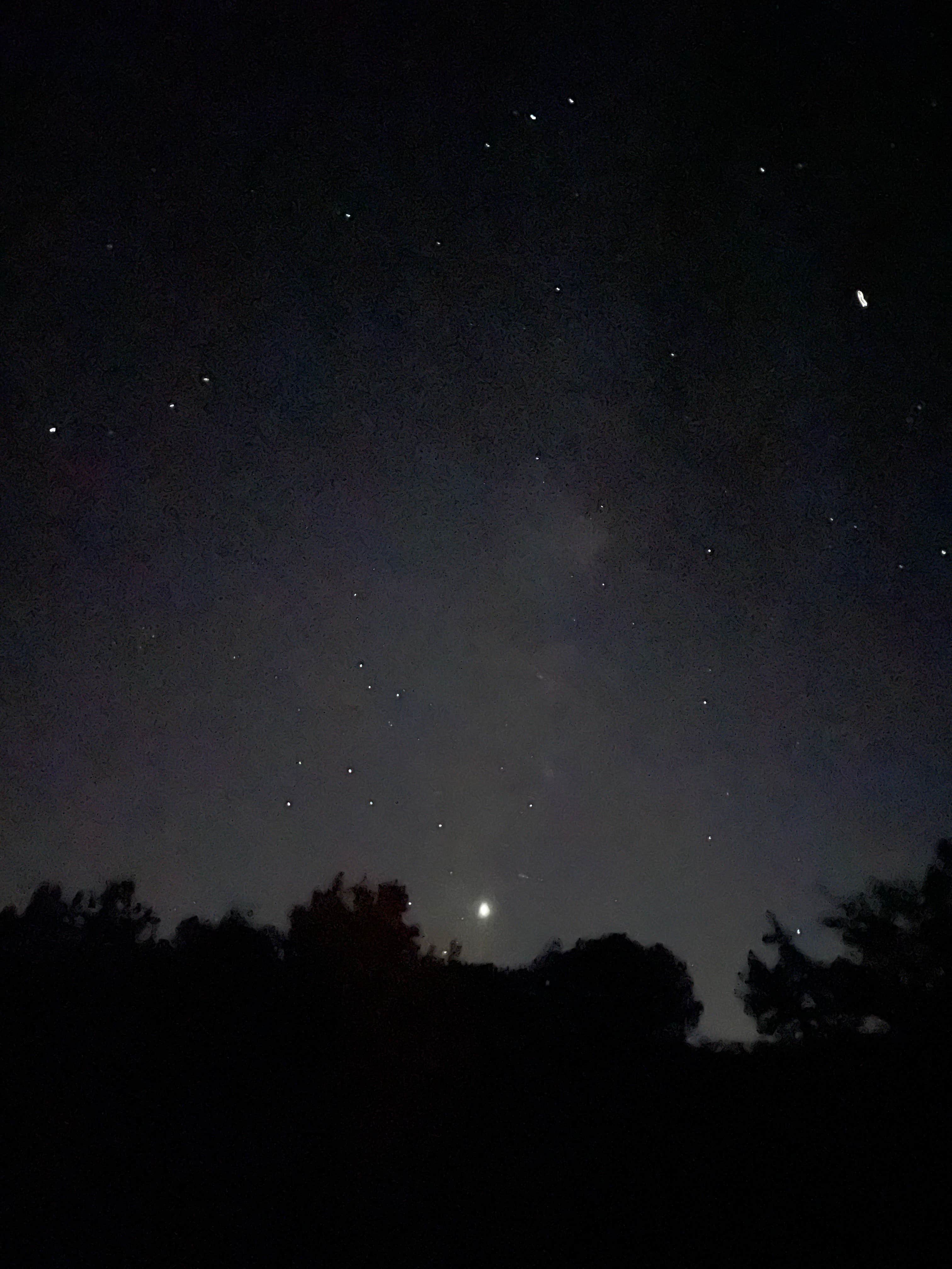 Abby M.'s photo of a dispersed camping area at Forest Service Road 302 Dispersed near Supai, AZ