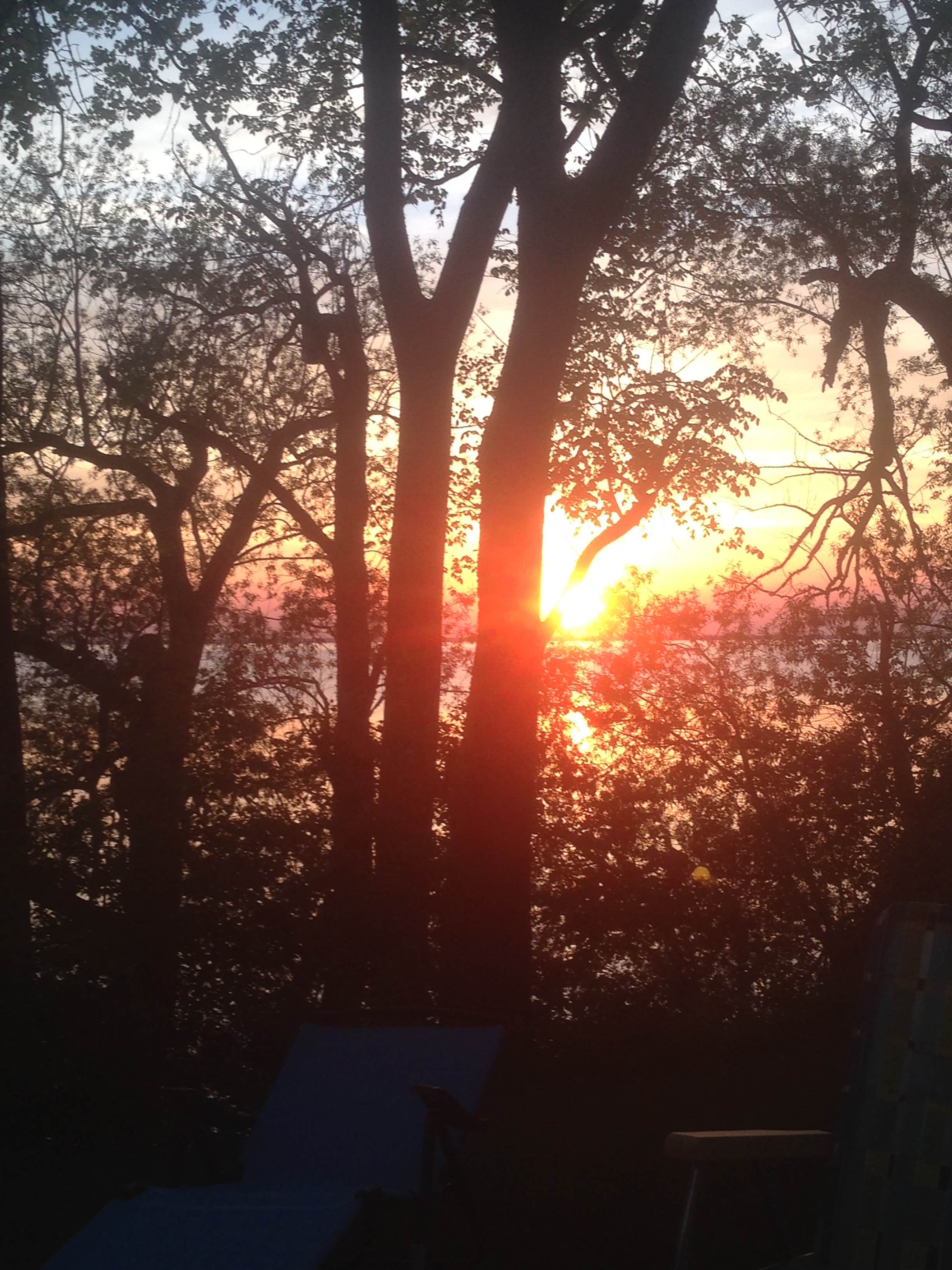 Camper submitted image from Calumet County Park - 3