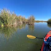 Review photo of BLM Oxbow Campground by Gary M., November 12, 2021