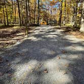 Review photo of West Rim - Cloudland Canyon State Park by donna H., November 12, 2021