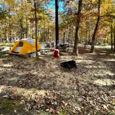 Review photo of West Rim - Cloudland Canyon State Park by donna H., November 12, 2021