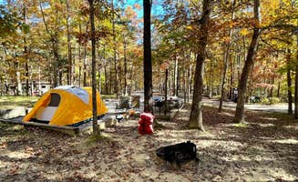 donna H.'s photo at Cloudland Canyon State Park Campground near Trenton, GA