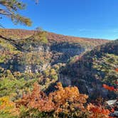 Review photo of West Rim - Cloudland Canyon State Park by donna H., November 12, 2021