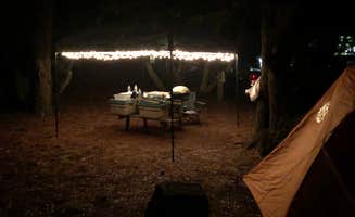 Joseph H.'s photo at Frisco Woods Campground near Ocracoke, NC