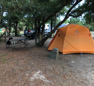 Camper-submitted photo from Frisco Woods Campground 