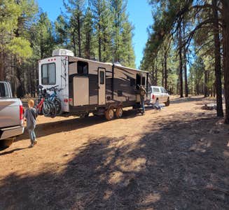 Camper-submitted photo from Forest Road 525C -Sycamore Pass Dispersed - TEMPORARILY CLOSED