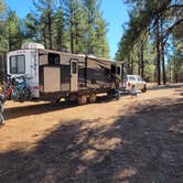 Review photo of Walker Hill Dispersed (Coconino NF) by Jamey W., November 12, 2021