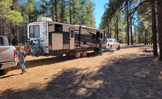 Jamey W.'s photo at Walker Hill Dispersed (Coconino NF) near Parks, AZ