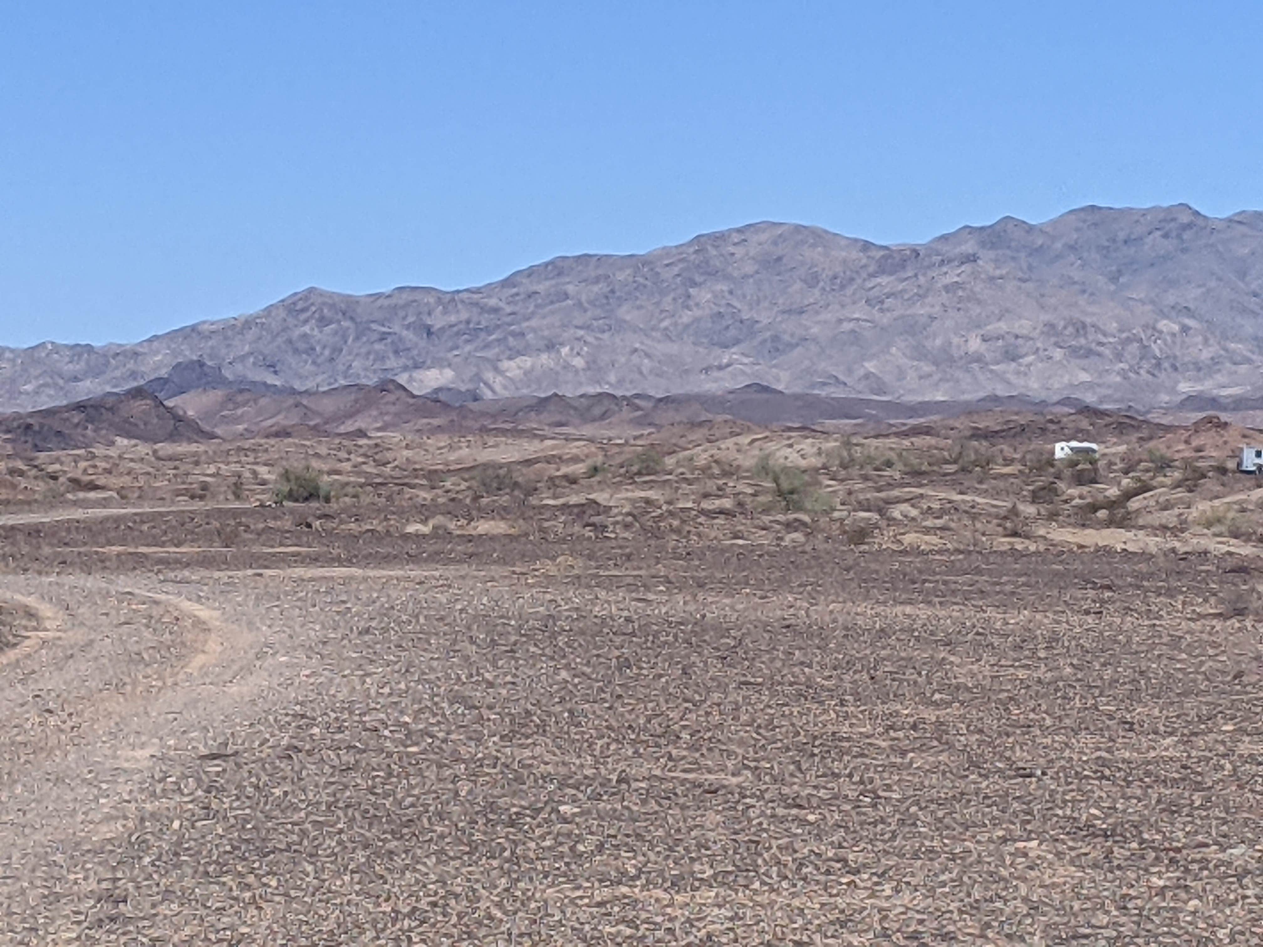 Camper-submitted photo at BLM mp 138.0 South spur dispersed near Earp, CA