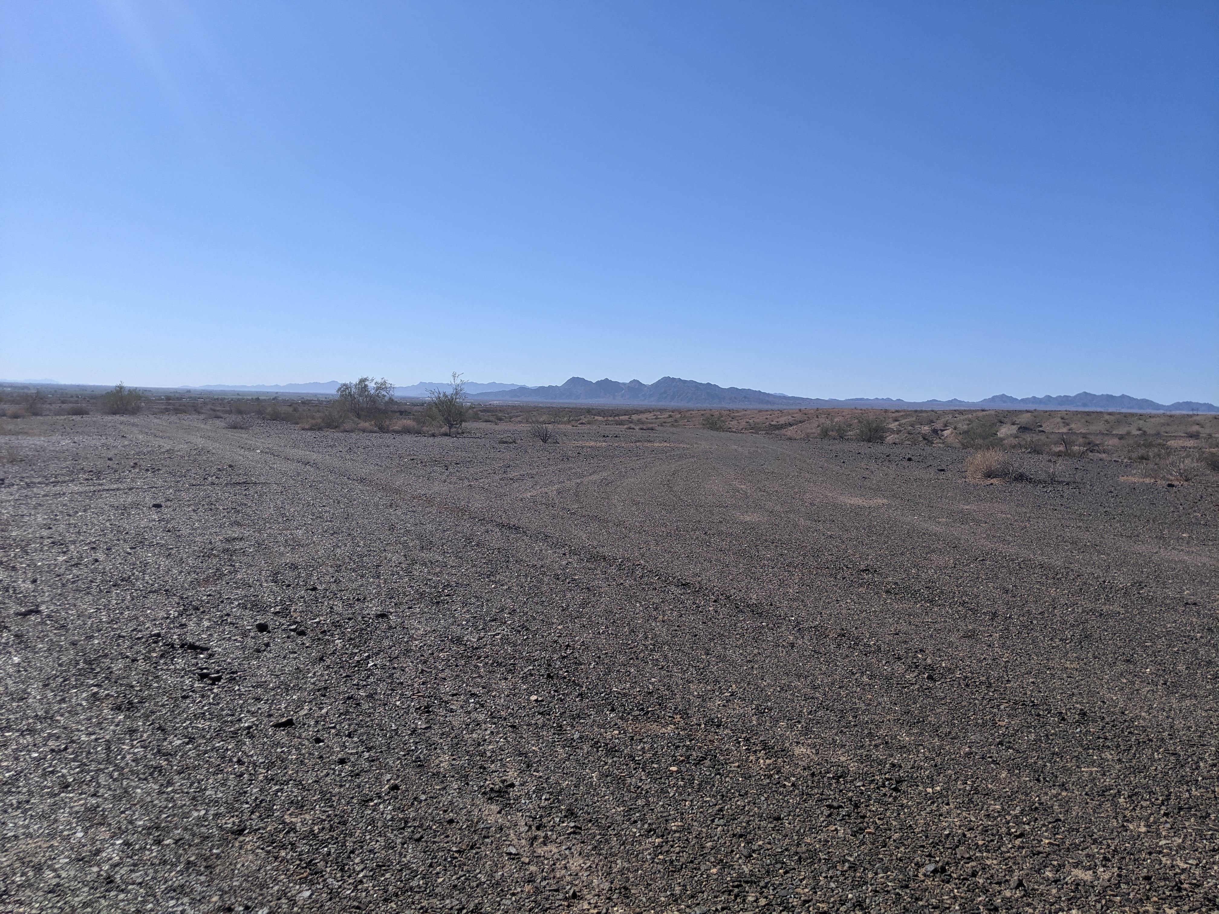Camper-submitted photo at BLM mp 138.0 South spur dispersed near Earp, CA