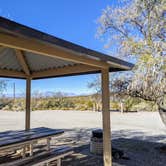 Review photo of Three Rivers Petroglyph Site by Kathryn P., November 12, 2021