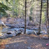 Review photo of West Fork Dispersed by Caitlyn Y., November 13, 2021