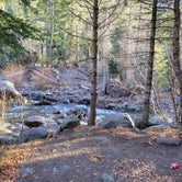 Review photo of West Fork Dispersed by Caitlyn Y., November 13, 2021