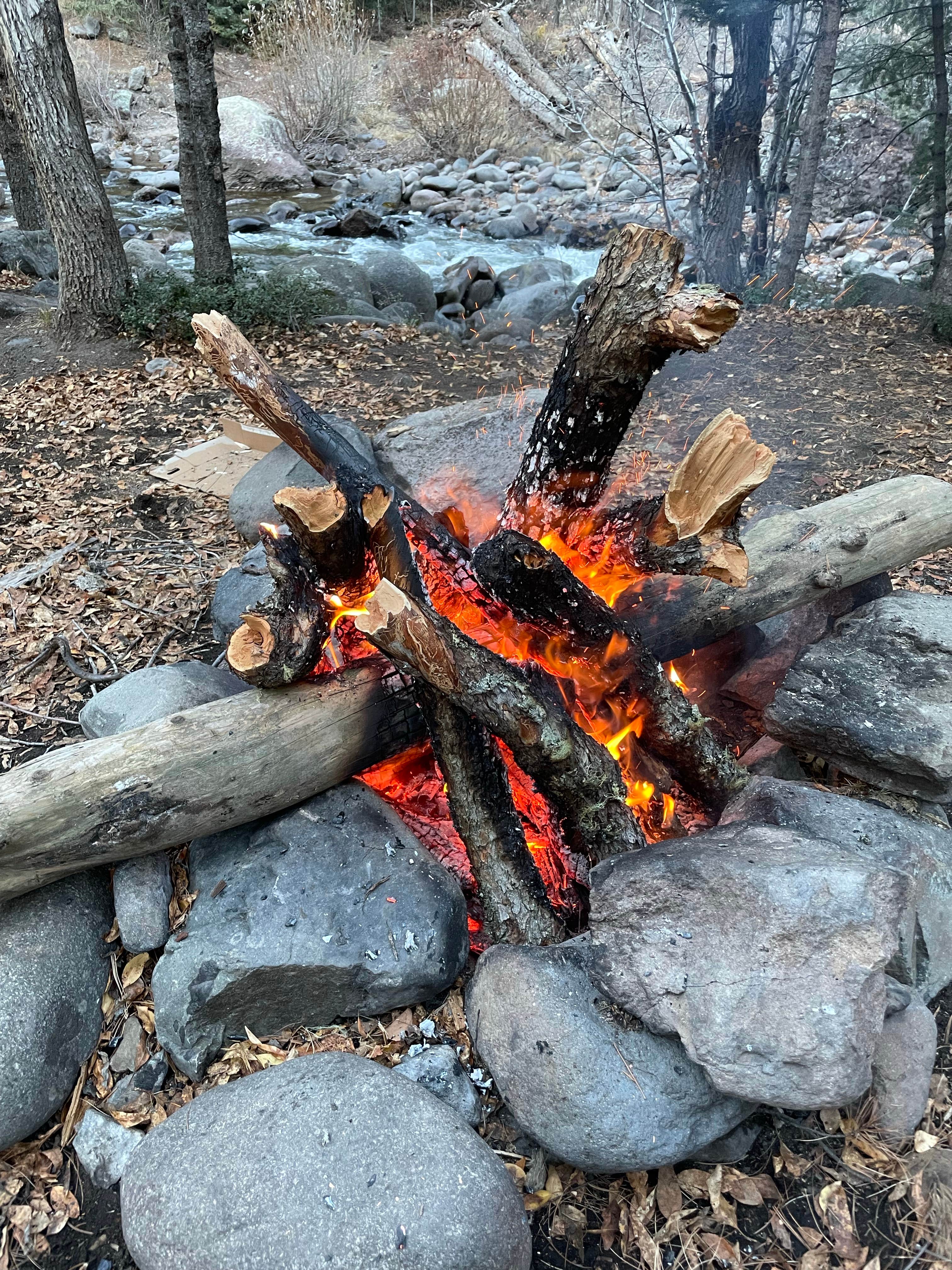 Camper-submitted photo at West Fork Dispersed near Pagosa Springs, CO