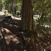 Review photo of Wawona Campground — Yosemite National Park by allen W., July 7, 2018