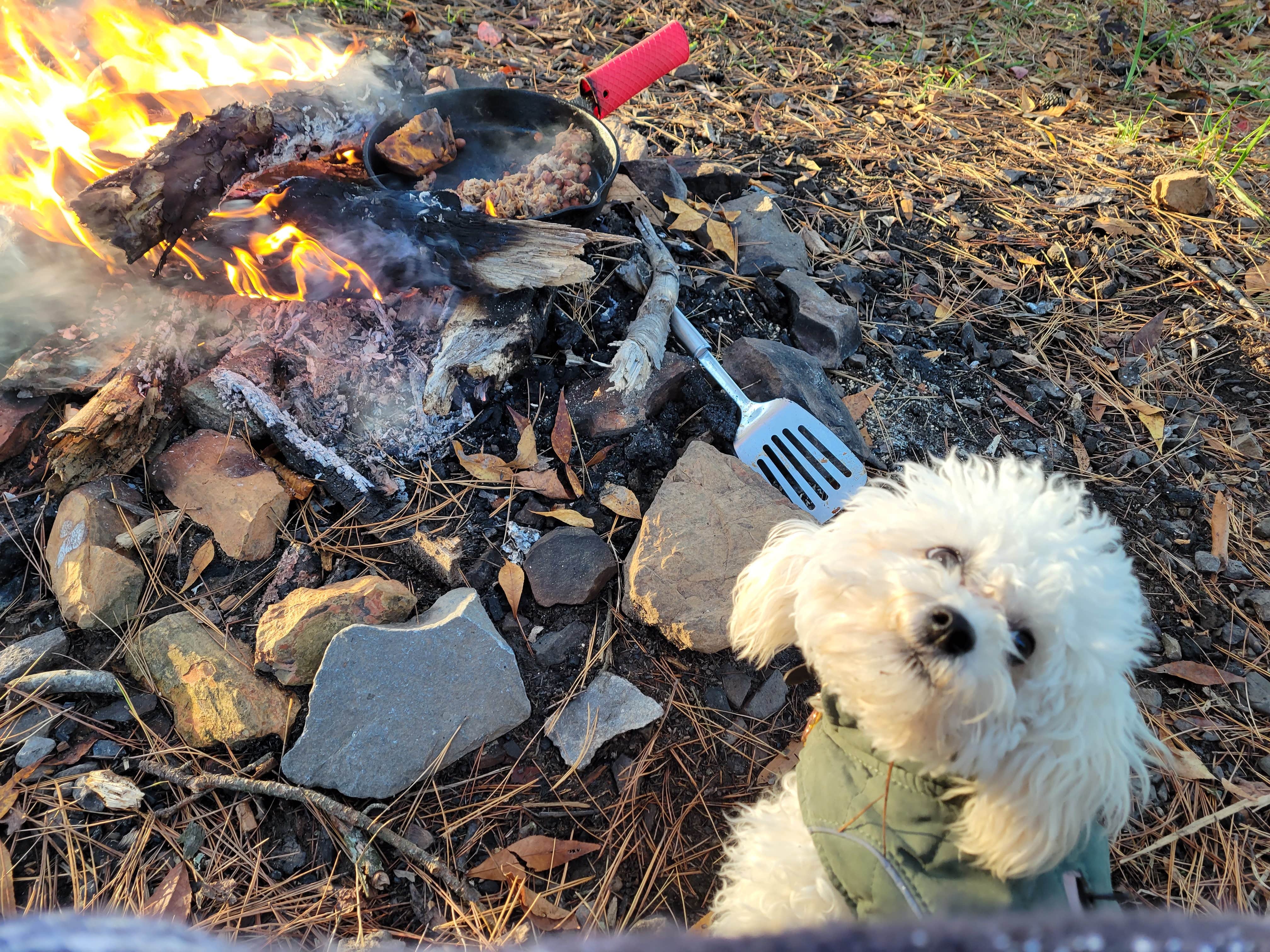 Camper-submitted photo at Harris Brake Lake near Royal, AR