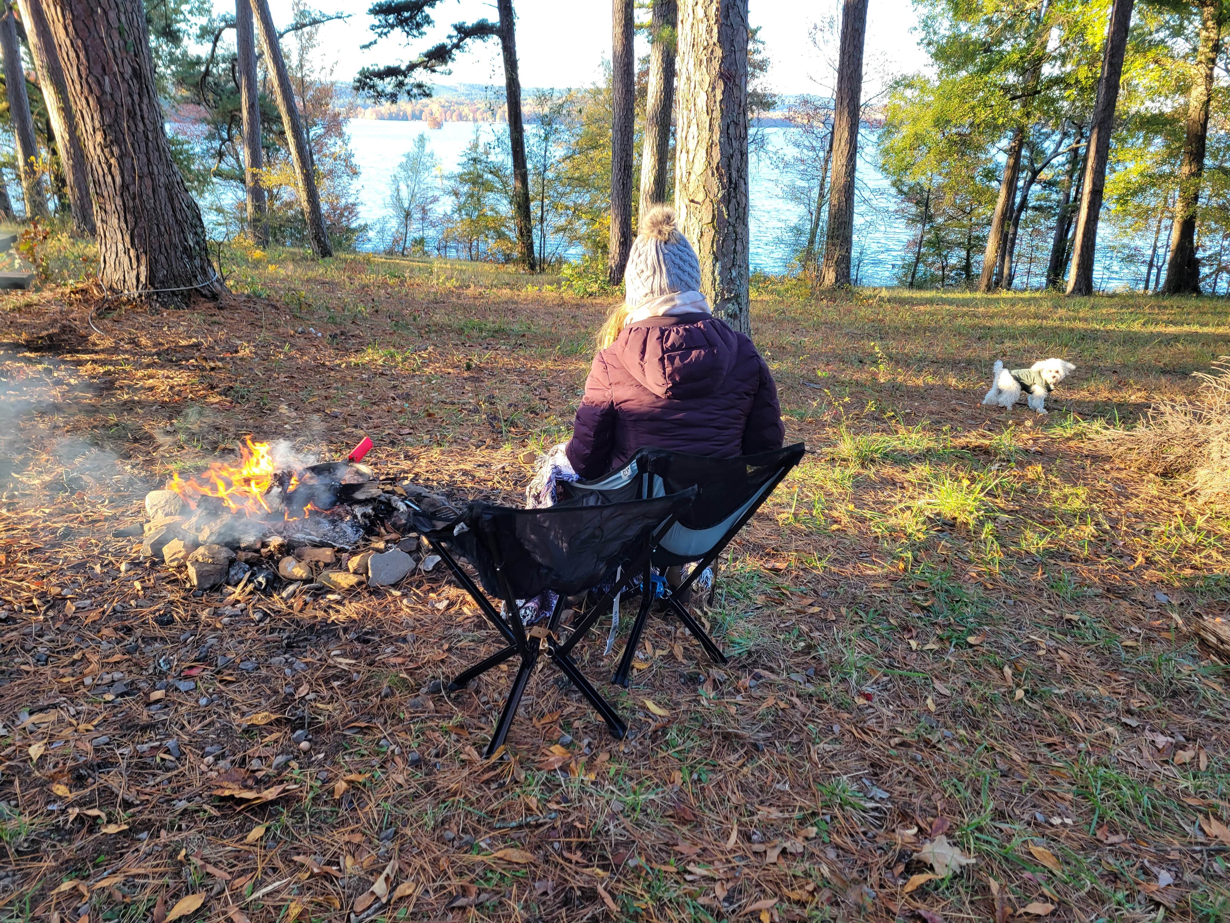Camper-submitted photo at Harris Brake Lake near Royal, AR