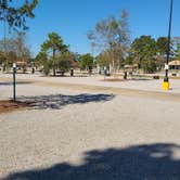 Review photo of Gator Grounds RV Resort by Cat R., November 13, 2021