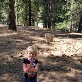 Review photo of Wawona Campground — Yosemite National Park by allen W., July 7, 2018