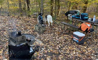 David C.'s photo at Wilderness Road Campground near Barbourville, KY