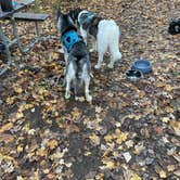 Review photo of Wilderness Road Campground by David C., November 13, 2021