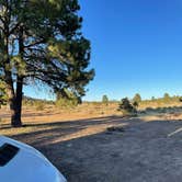 Review photo of Garland Prairie Rd Dispersed Camping by Abby M., November 13, 2021