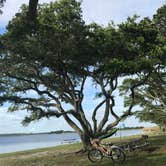 Review photo of Gulf State Park Campground by Molly M., July 7, 2018