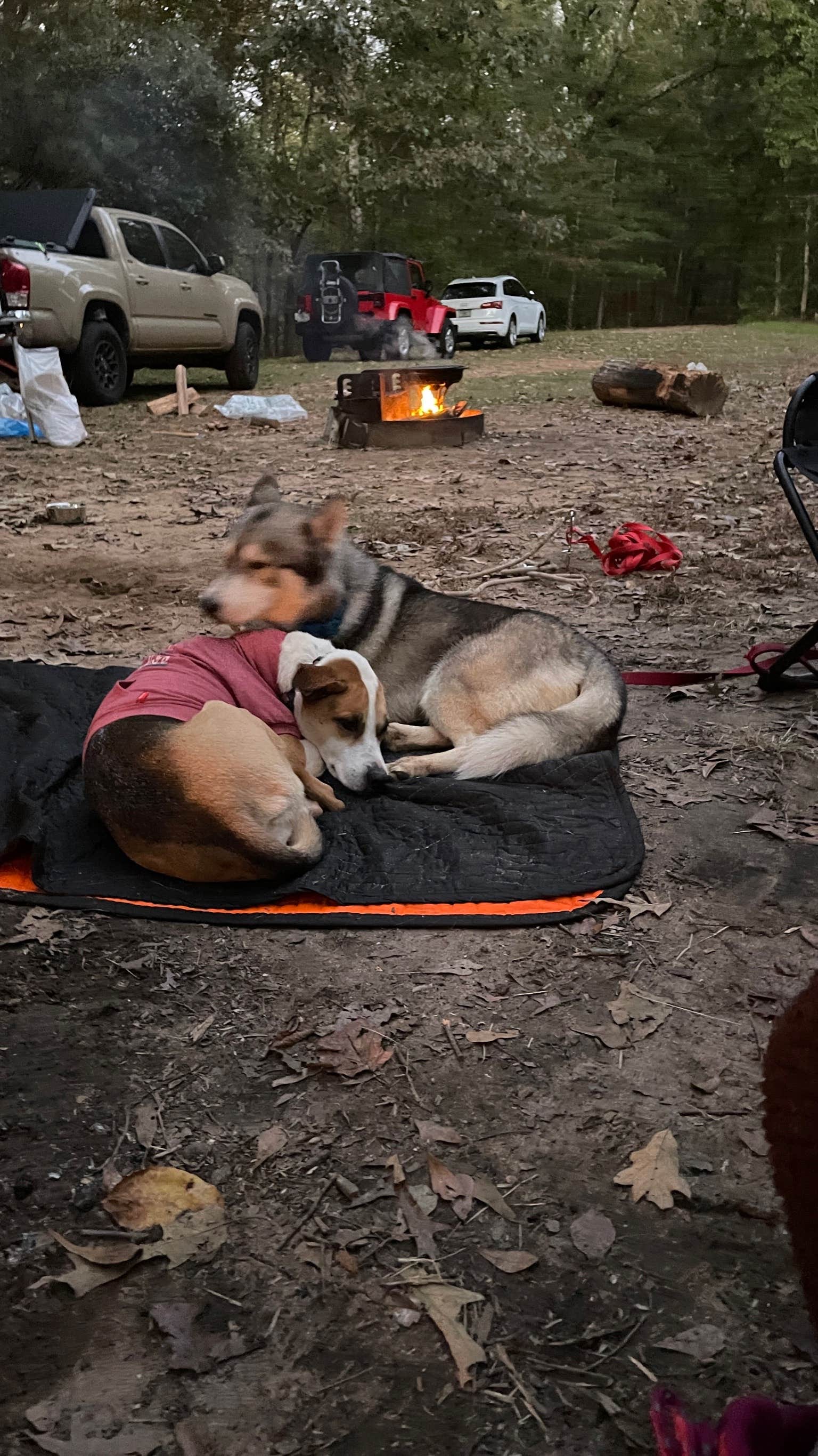 Ashley's photo of camping with pets at Providence Canyon State Park Campground near Columbus, GA