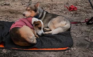 Ashley's photo at Providence Canyon State Park Campground near Walter F. George Lake