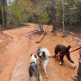 Review photo of Providence Canyon State Park Campground by Ashley , November 13, 2021