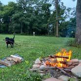 Review photo of Hartig Park & Wildlife Reserve - TEMPORARILY CLOSED by Matt S., November 13, 2021