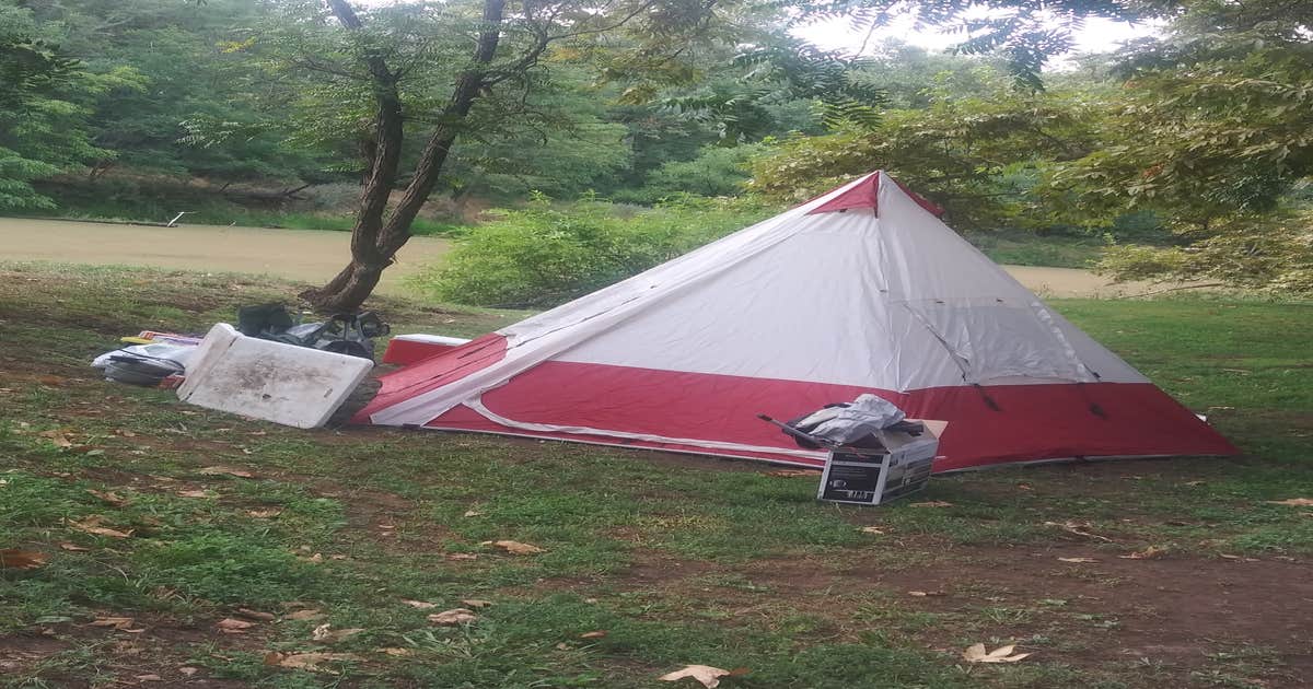 Sycamore Ranch RV Park Browns Valley, CA