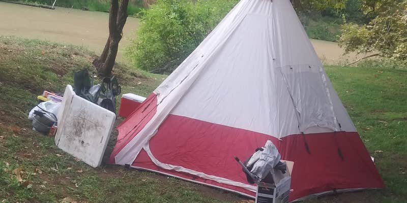 Camper submitted image from Sycamore Ranch RV Park