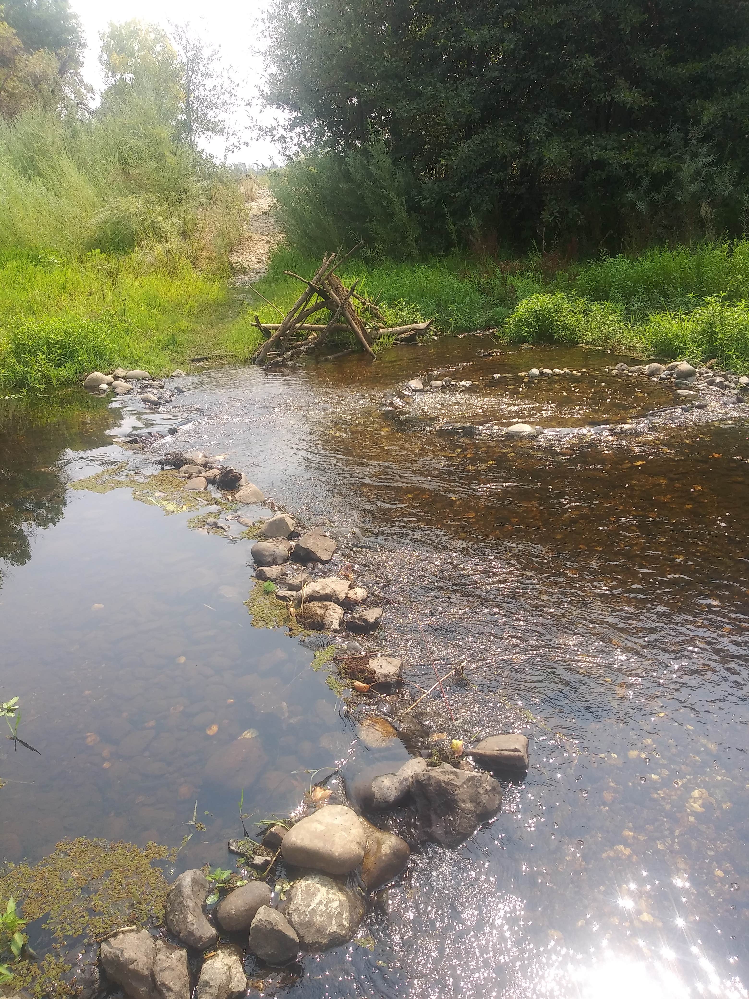 Sycamore Ranch RV Park Browns Valley, CA