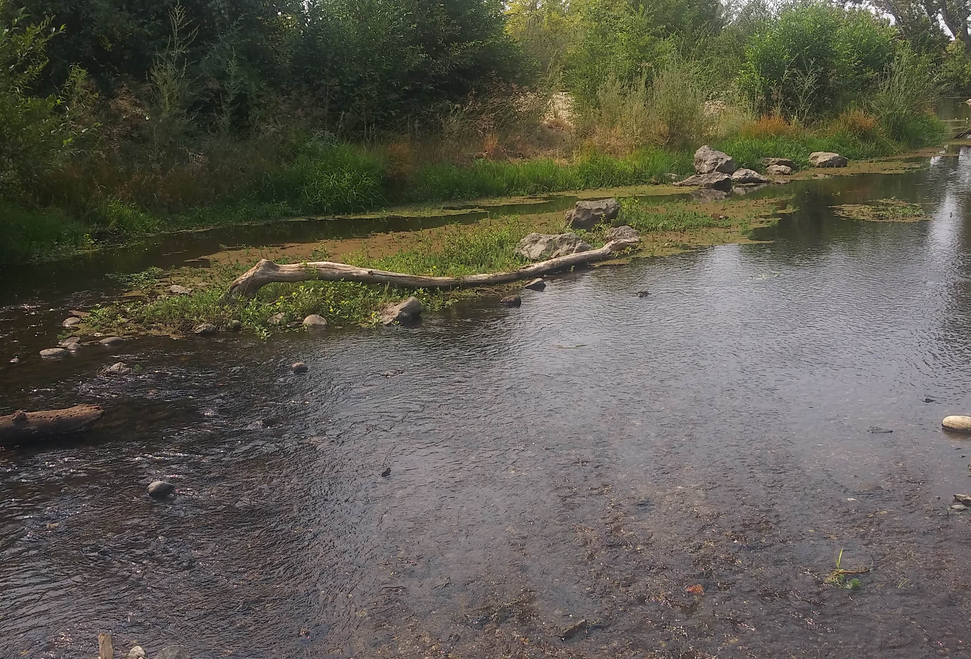 Sycamore Ranch RV Park | Smartsville, California