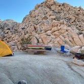 Review photo of Indian Cove Campground — Joshua Tree National Park by Susan W., November 12, 2021
