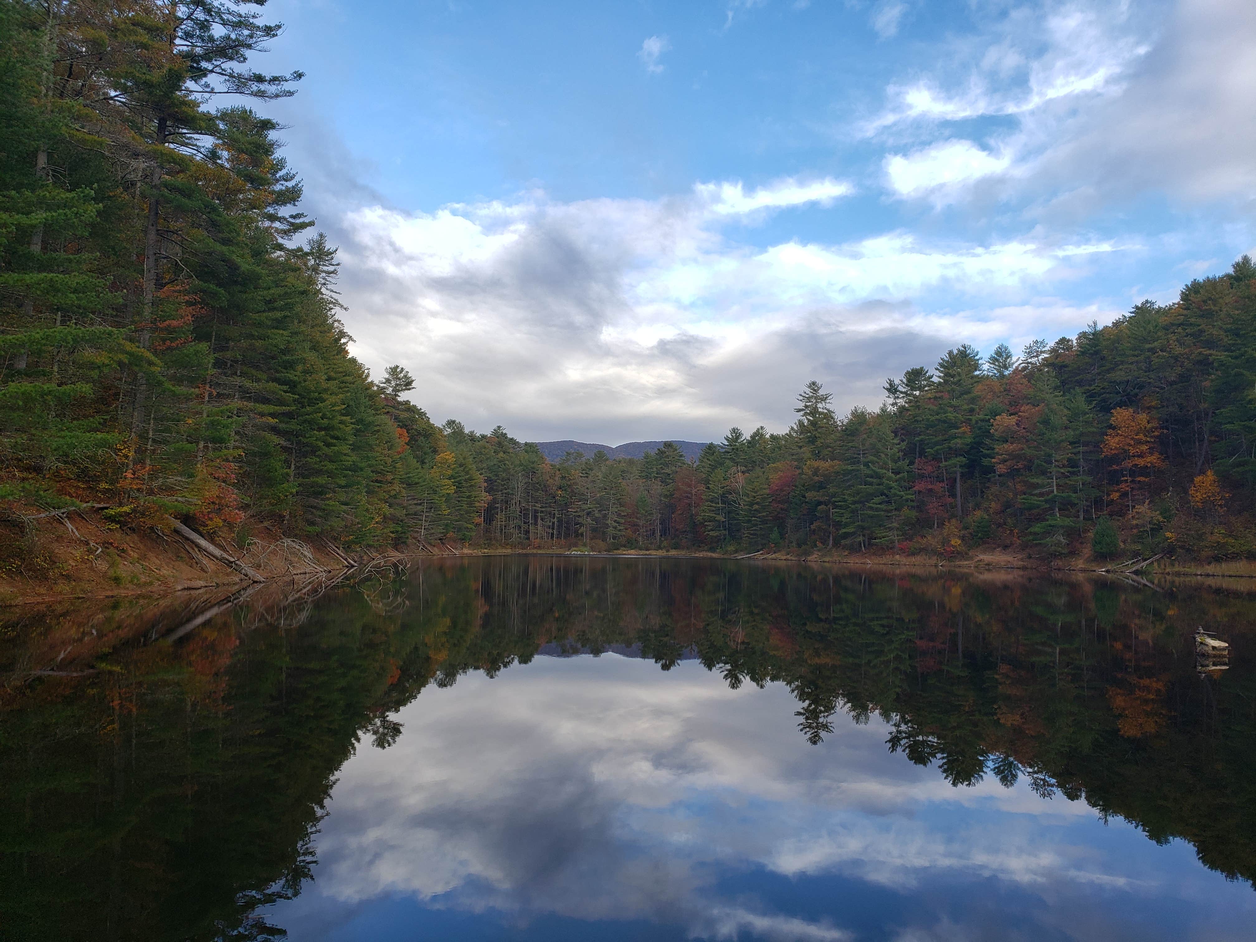 joe's photo of a dispersed camping area at Braley Pond Dispersed Camping & Day Use Area near Dayton, VA