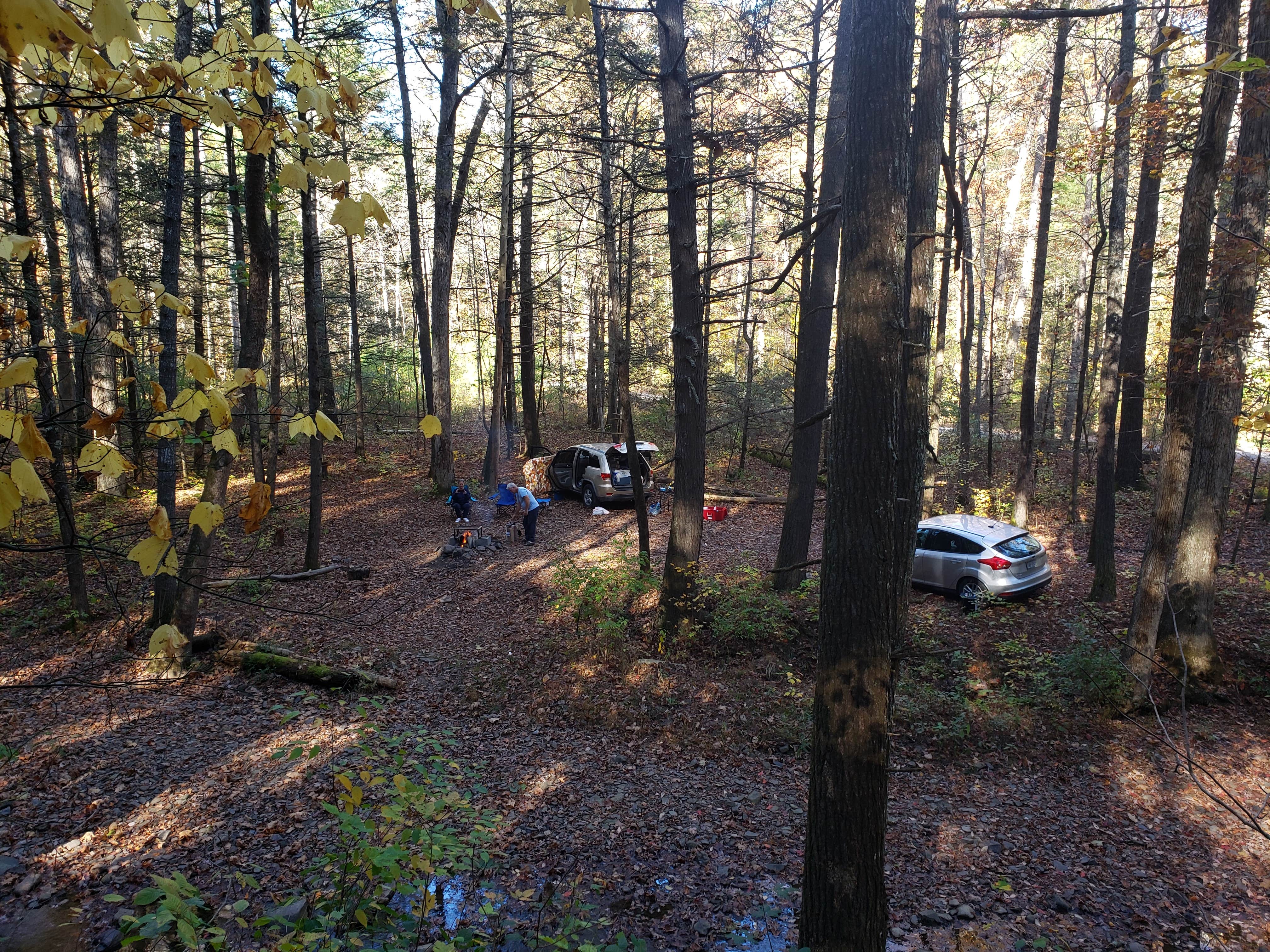 Camper submitted image from Braley Pond Dispersed Camping & Day Use Area - 1