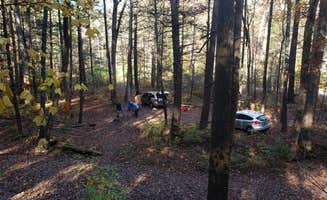 joe's photo at Braley Pond Dispersed Camping & Day Use Area near Mount Solon, VA