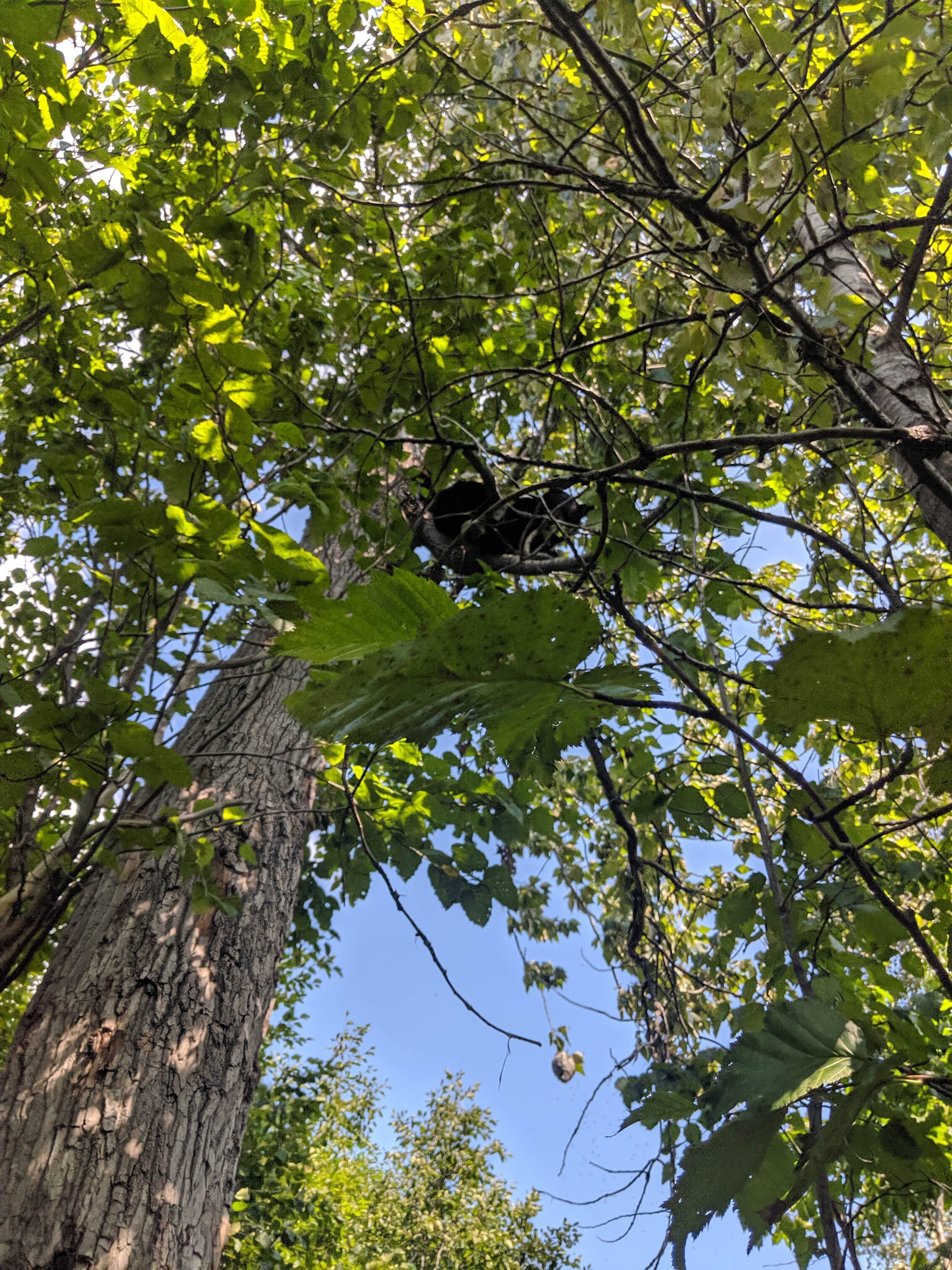 Camper-submitted photo at Morgans Landing State Rec Area near Kenai National Wildlife Refuge