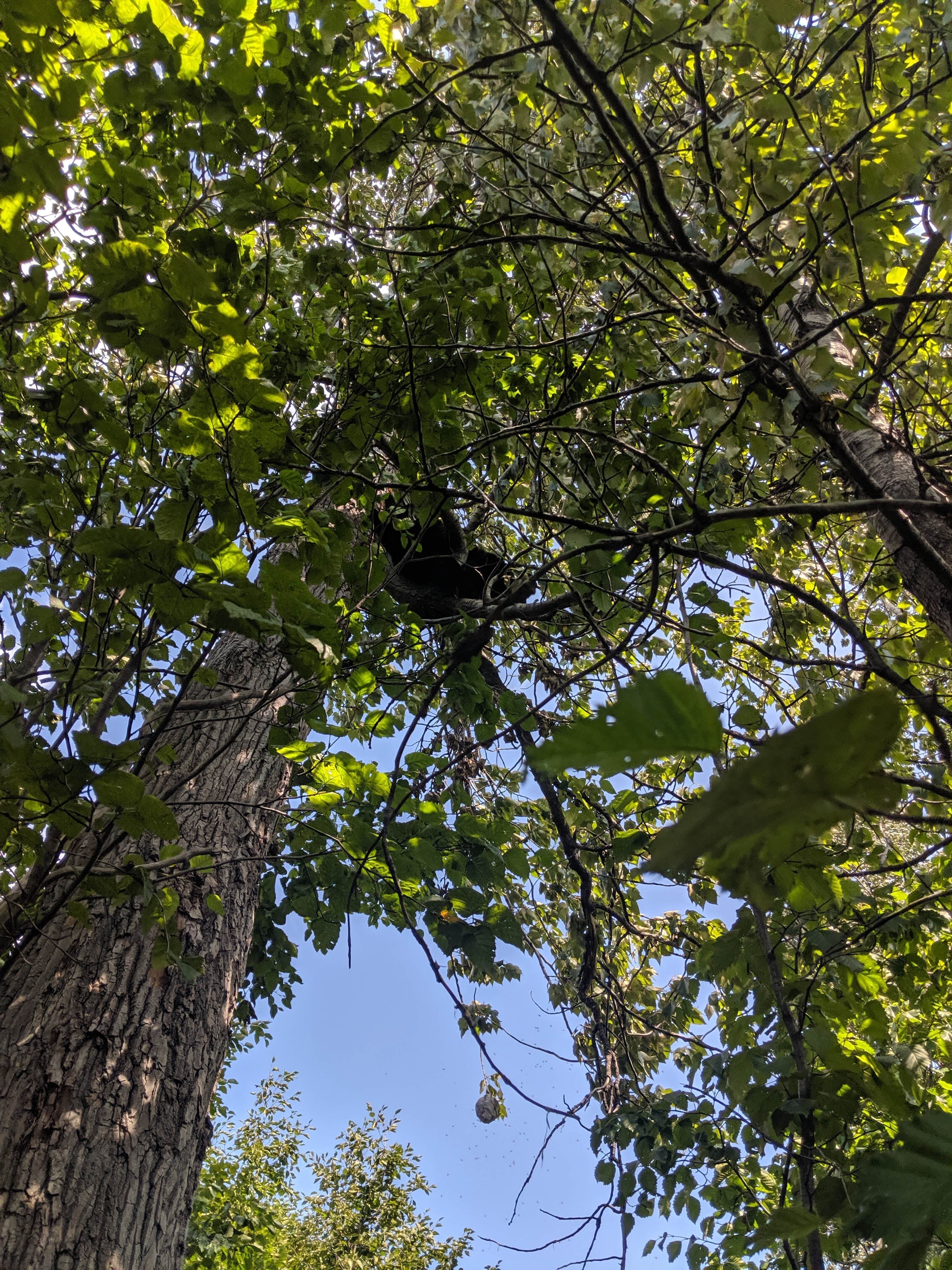 Camper-submitted photo at Morgans Landing State Rec Area near Kenai National Wildlife Refuge