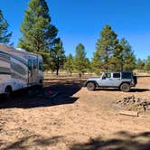 Review photo of Garland Prairie Rd Dispersed Camping by Rob N., November 11, 2021