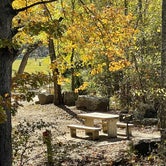 Review photo of Devil's Den State Park Campground by Kelly G., November 14, 2021