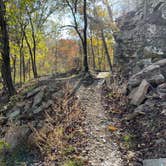 Review photo of Devil's Den State Park Campground by Kelly G., November 14, 2021