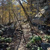 Review photo of Devil's Den State Park Campground by Kelly G., November 14, 2021