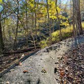 Review photo of Devil's Den State Park Campground by Kelly G., November 14, 2021