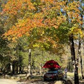 Review photo of Devil's Den State Park Campground by Kelly G., November 14, 2021